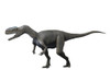 Monolophosaurus dinosaur, white background Poster Print - Item # VARPSTNBT600126P