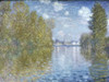Autumn in Argenteuil  1873  Claude Monet  Courtauld Institute and Galleries  London Poster Print - Item # VARSAL900103145