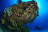 A diver under the coral encrusted stern of the cross wreck, a Japanese coaster sunk in WW2. Manokwari, West Papua, Indonesia Poster Print - Item # VARPSTSJN400359U