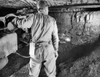 Rear view of a miner working in a coal mine  Pennsylvania  USA Poster Print - Item # VARSAL25534945