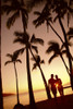 Close-Up Of Couple In Park Heads Together, Palm Trees Silhouetted By Sunset PosterPrint - Item # VARDPI2000521
