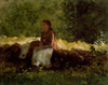On The Fence  Winslow Homer Poster Print - Item # VARSAL900119738
