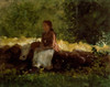 On The Fence  Winslow Homer Poster Print - Item # VARSAL900119738