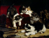 Playful Kittens  Charles van den Eycken Poster Print - Item # VARSAL900137317