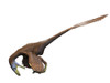 Deinonychus dinosaur, white background Poster Print - Item # VARPSTNBT600090P