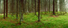 http://c328301.r1.cf1.rackcdn.com/PPI128180L.jpg