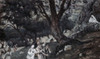 Jesus Went Out to a Desert Place  James Tissot Poster Print - Item # VARSAL99980