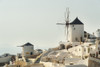Whitewash buildings and windmill; Oia, Santorini, Greece PosterPrint - Item # VARDPI12254303