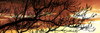 http://c328301.r1.cf1.rackcdn.com/PPI166365S.jpg
