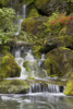 Small Waterfalls Along Moss Covered Rocks; Portland, Oregon, United States of America PosterPrint - Item # VARDPI1965140