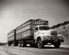 Low angle view of a truck moving on a road Poster Print - Item # VARSAL25526628