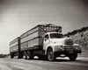 Low angle view of a truck moving on a road Poster Print - Item # VARSAL25526628