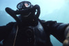 View looking up at a Navy SEAL combat swimmer Poster Print - Item # VARPSTWOD100094M