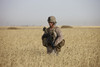 U.S. Marine patrols a wadi near Konduz, Afghanistan clearing it for a range exercise Poster Print - Item # VARPSTTMO100287M U.S. Marine patrols a wadi near Konduz, Afghanistan clearing it for a range exercise Poster Print - Item # VARPSTTMO100287M