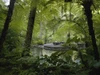 Hiking Trail, Bali, Indonesia PosterPrint - Item # VARDPI1853033