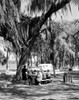 Tourists relaxing in park Poster Print - Item # VARSAL255416184