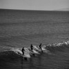 USA  California  Surfers at Pismo Beach Poster Print - Item # VARSAL255424233