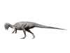 Prenocephale dinosaur, white background Poster Print - Item # VARPSTNBT600139P