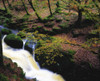 Glenmacnass Waterfall, Co Wicklow, Ireland PosterPrint - Item # VARDPI1803574