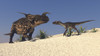 Brown Einiosaurus and a Utahraptor confront each other face-to-face Poster Print - Item # VARPSTKVA600279P