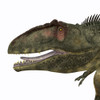 Giganotosaurus was a theropod carnivorous dinosaur that lived in the Cretaceous Period of Argentina Poster Print - Item # VARPSTCFR200489P
