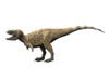 Tarbosaurus is a theropod dinosaur from the Late Cretaceous period Poster Print - Item # VARPSTNBT100187P