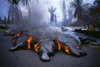 Hawaii, Big Island, Kilauea Volcano, Kalapana Active Lava Flow Over Road A28F PosterPrint - Item # VARDPI1997702