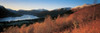 http://c328301.r1.cf1.rackcdn.com/PPI65873L.jpg