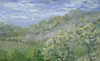 Trees in Bloom   Claude Monet  Collection Grimaldi  Monaco Poster Print - Item # VARSAL11581242