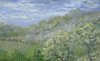 Trees in Bloom   Claude Monet  Collection Grimaldi  Monaco Poster Print - Item # VARSAL11581242