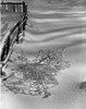 Rural winter scene Poster Print