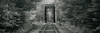 Trestle bridge over railroad track, White Mountain National Forest, Bartlett, Carroll County, New Hampshire, USA Poster Print - Item # VARPPI59620