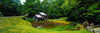 Trees around a watermill, Mabry Mill, Blue Ridge Parkway, Floyd County, Virginia, USA Poster Print - Item # VARPPI25149