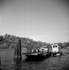 USA  Connecticut  Ferry on Connecticut River Poster Print - Item # VARSAL255423605