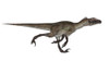 Utahraptor dinosaur running, white background Poster Print - Item # VARPSTEDV600215P