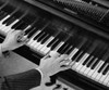 High angle view of a person's hands playing the piano Poster Print - Item # VARSAL25542991