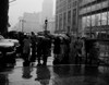 USA  New York State  New York City  Rainy day street scene on Fifth Avenue Poster Print - Item # VARSAL255419863