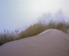 Sand And Grass PosterPrint