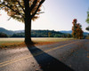 Country highway with fall trees Poster Print