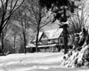 House in snow covered landscape Poster Print - Item # VARSAL25532372