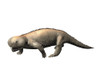 Hyperodapedon is a rhynchosaur from the Late Triassic period Poster Print - Item # VARPSTNBT100174P