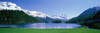 http://c328301.r1.cf1.rackcdn.com/PPI81966L.jpg