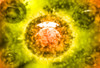 Group of H5N1 virus with glassy view Poster Print - Item # VARPSTSTK700448H