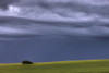 Storm Clouds Over Pasture On Summer Evening, Central Alberta PosterPrint - Item # VARDPI2032624
