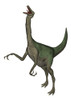Gallimimus dinosaur roaring, white background Poster Print - Item # VARPSTEDV600188P