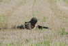 Belgian paratroopers on guard in the fields Poster Print - Item # VARPSTJAE100074M