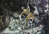 Zacchaeus in the Sycamore Tree  James Tissot Poster Print - Item # VARSAL9999189