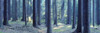 http://c328301.r1.cf1.rackcdn.com/PPI94325S.jpg