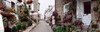 Saint Ives Street Scene  Cornwall  England Poster Print by Panoramic Images (38 x 12) - Item # PPI64796