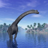Brachiosaurus dinosaur in a tropical climate on a beautiful day. Poster Print - Item # VARPSTEDV600142P